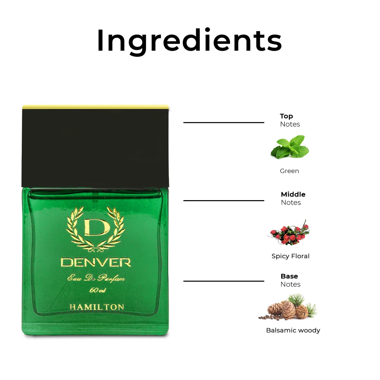 Hamilton Perfume Ingredients