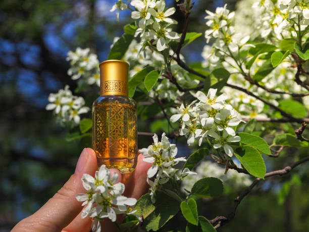 How to Adjust Your Fragrance Seasonally?