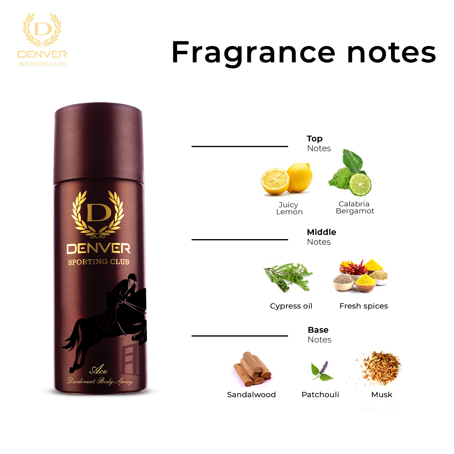 Denver ACE Deodorant Fragrance Notes