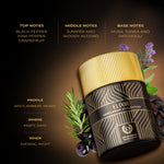 Pack of 2 Denver Gentlemen Collection Elixir & Magnus 100ml Perfume