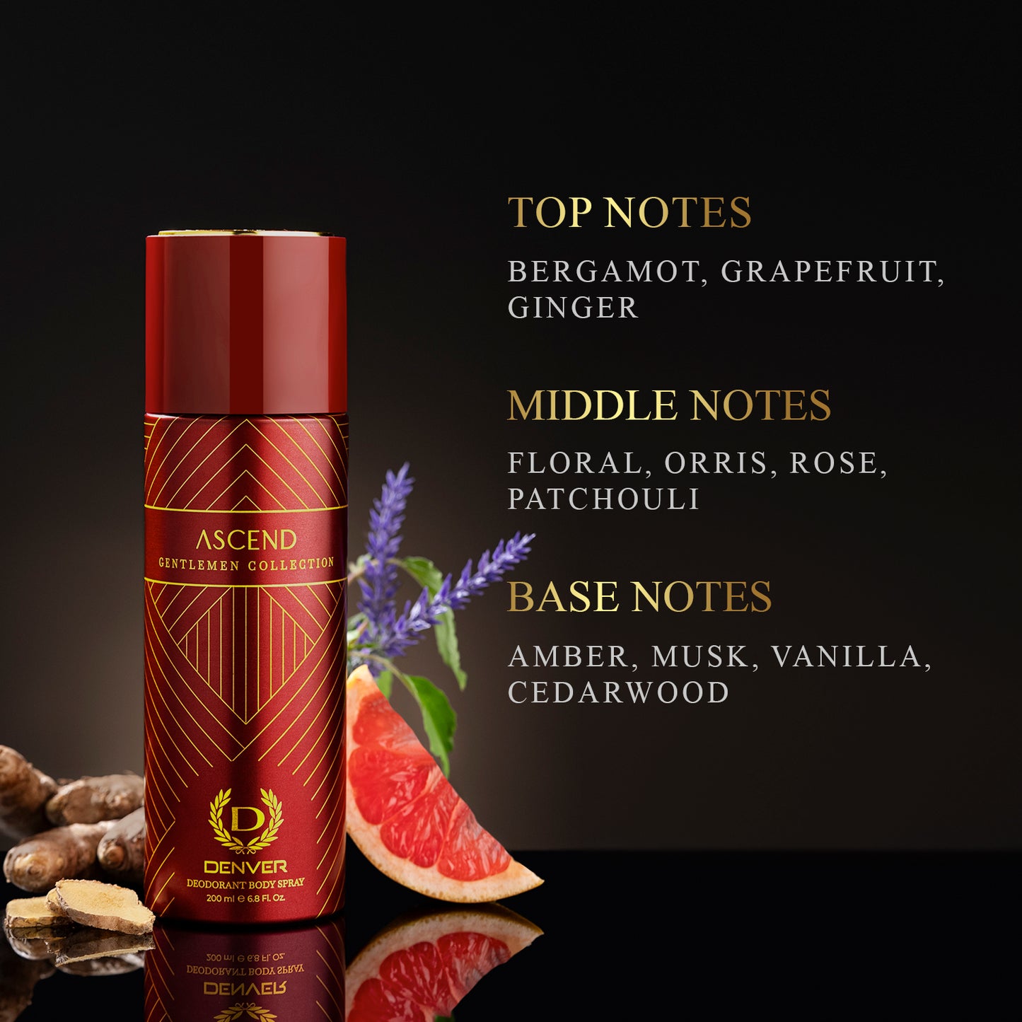 Gentlemen Ascend Deodorant - 200ml - Notes