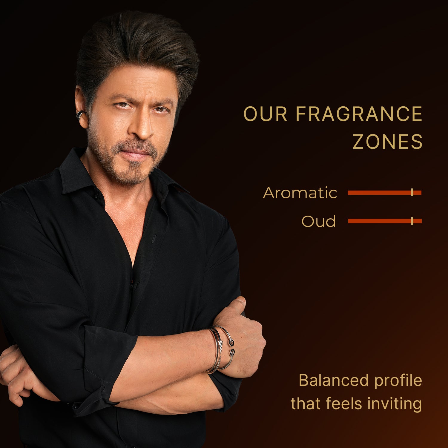 Denver Royal oud Perfume 100ml - SRK