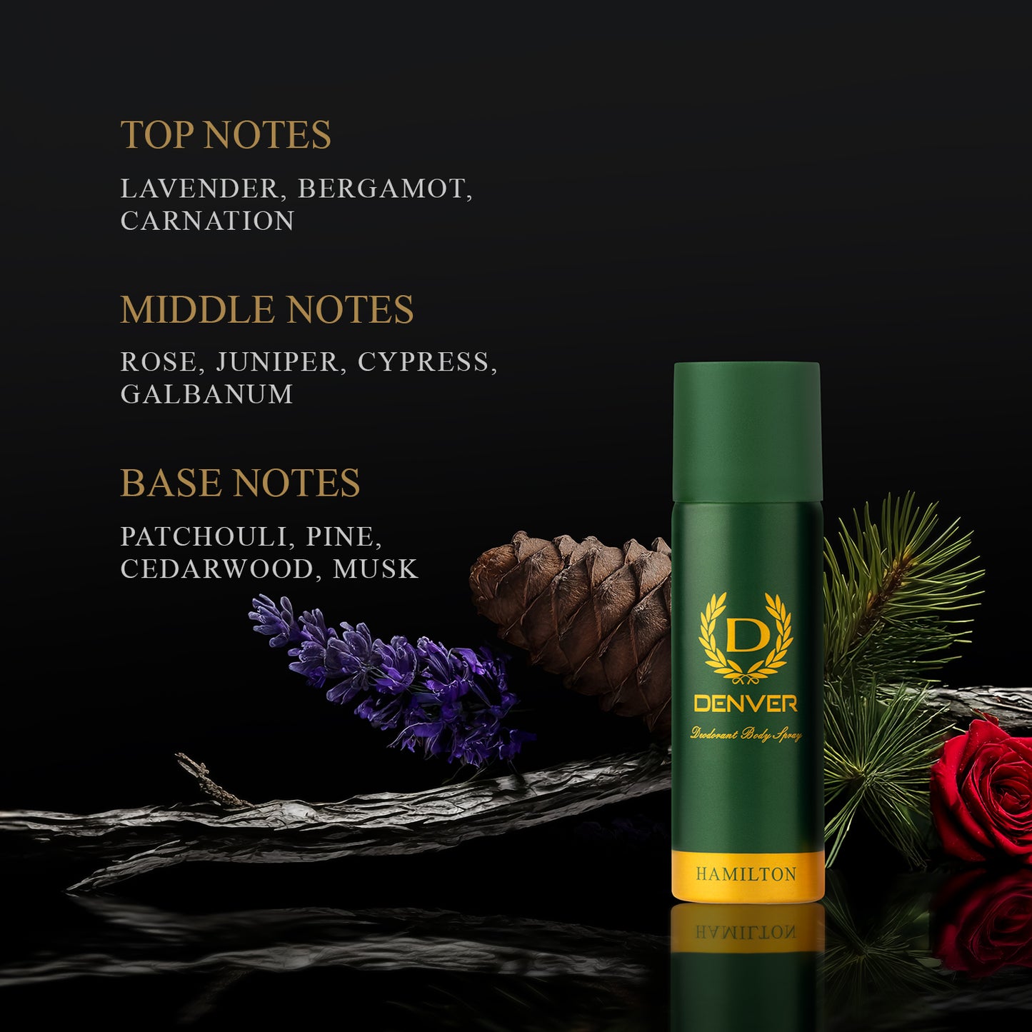 Hamilton Nano Deo 50ml Deodorant | DENVER
