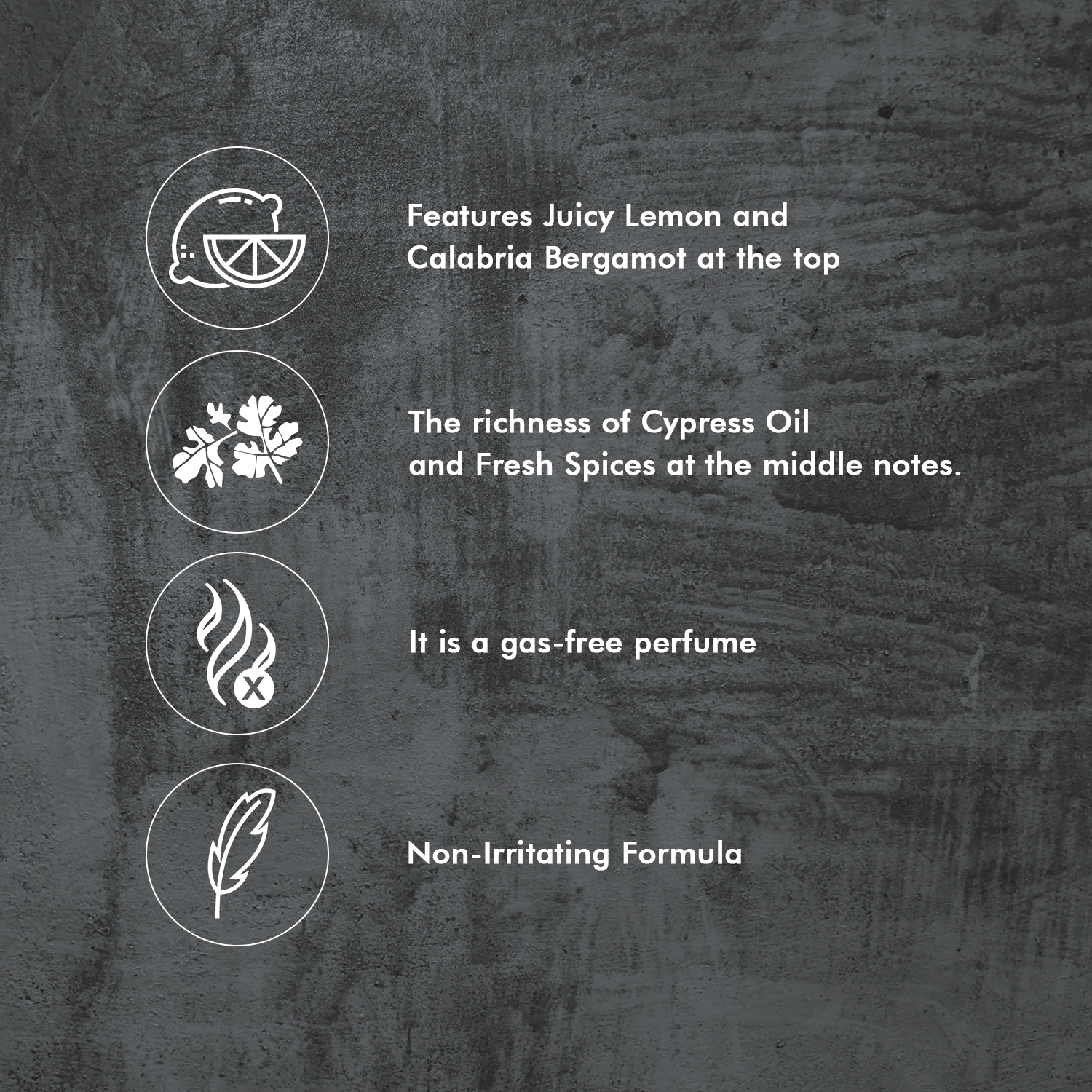 Denver Forest Wood Perfume Features